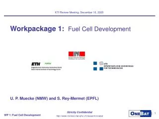 Workpackage 1: Fuel Cell Development
