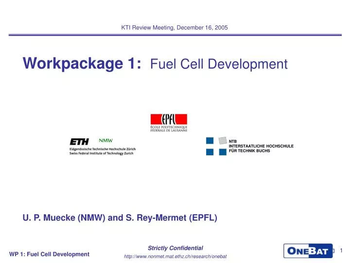 workpackage 1 fuel cell development