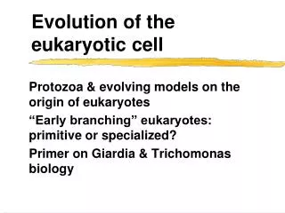 Evolution of the eukaryotic cell