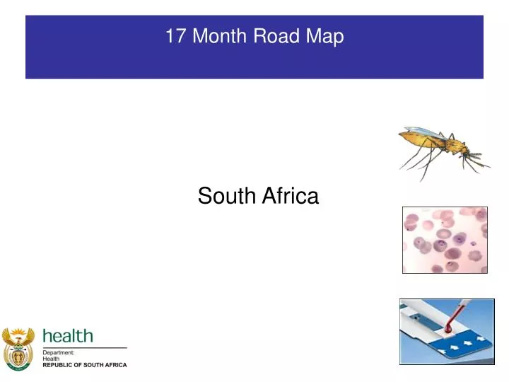 17 month road map