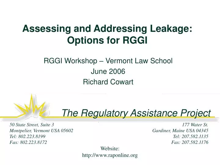assessing and addressing leakage options for rggi
