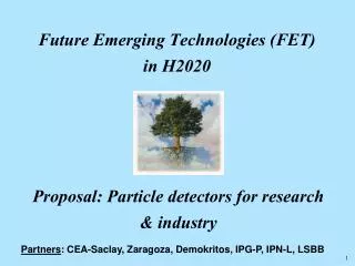 Future Emerging Technologies (FET) in H2020