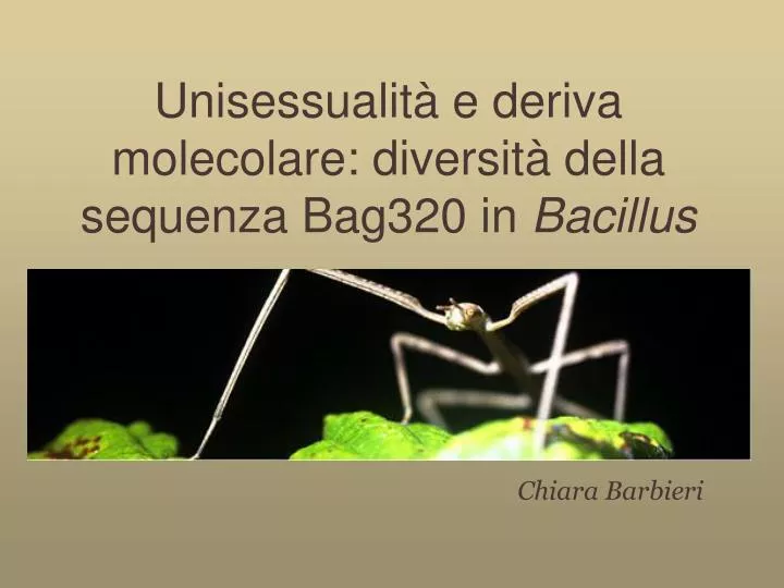 unisessualit e deriva molecolare diversit della sequenza bag320 in bacillus