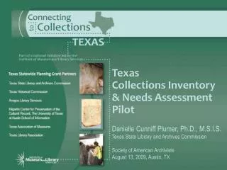 Texas Collections Inventory &amp; Needs Assessment Pilot