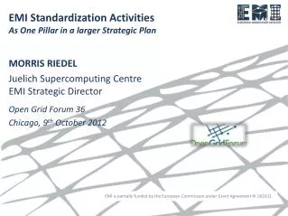 EMI Standardization Activities As One Pillar in a larger Strategic Plan