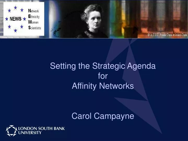 setting the strategic agenda for affinity networks carol campayne