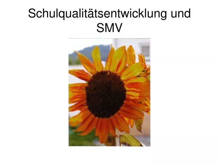 schulqualit tsentwicklung und smv