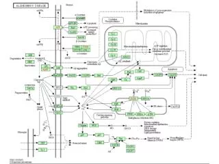 Data model in a nutshell