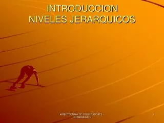 introduccion niveles jerarquicos