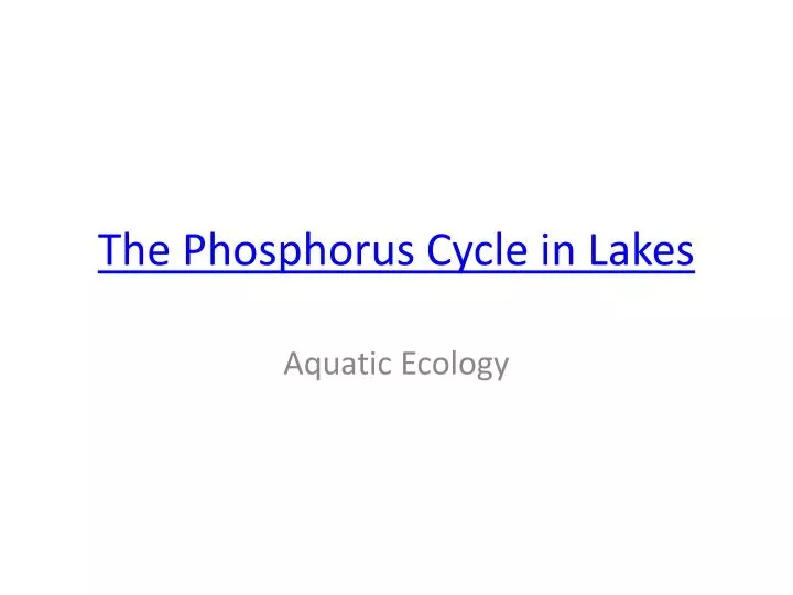 the phosphorus cycle in lakes
