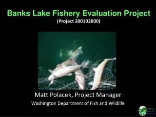 Banks Lake Fishery Evaluation Project (Project 200102800)