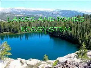 LAKES AND PONDS ECOSYSTEM