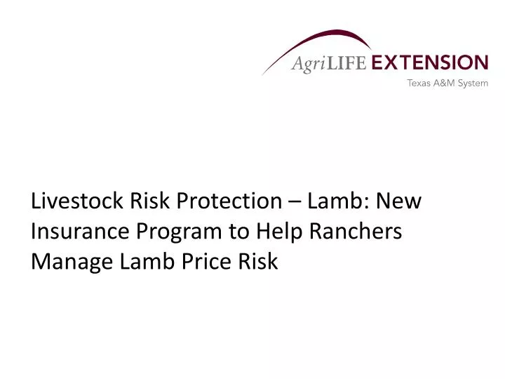 livestock risk protection lamb new insurance program to help ranchers manage lamb price risk