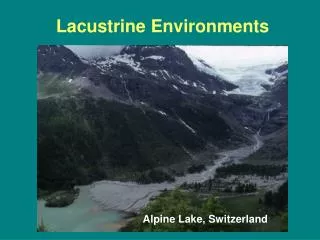 Lacustrine Environments
