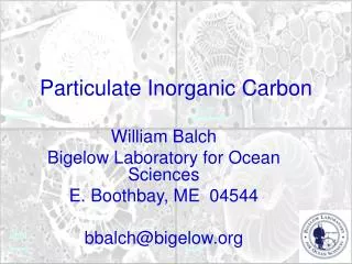 Particulate Inorganic Carbon