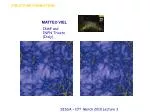 MATTEO VIEL - slide 1