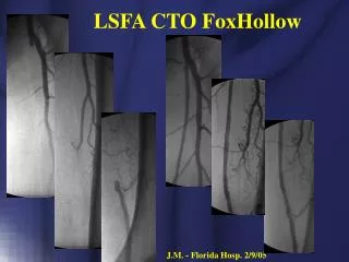 LSFA CTO FoxHollow