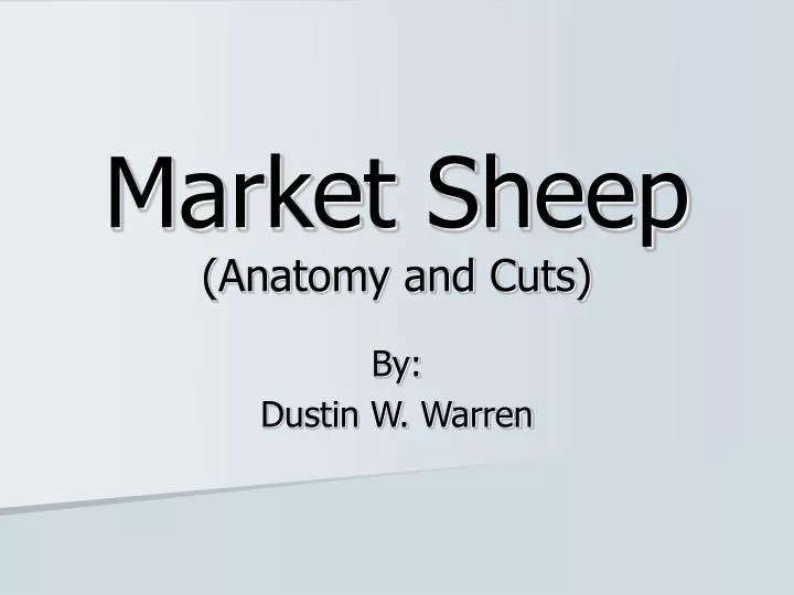 market sheep anatomy and cuts