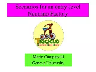 Scenarios for an entry-level Neutrino Factory