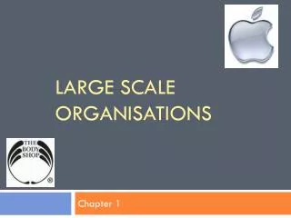 LARGE SCALE ORGANISATIONS