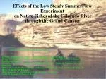 Assessing the Impact of Long-term Seasonal Flow Patterns on Fish Species in Backwaters - slide 1