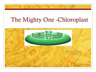 The Mighty One -Chloroplast