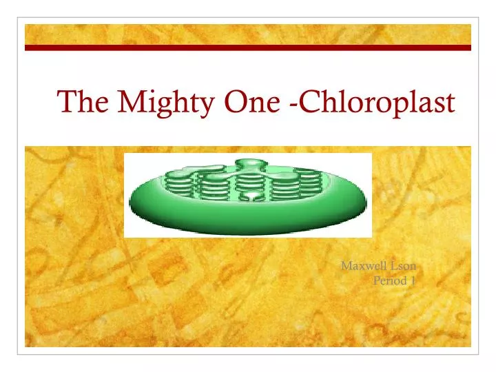 the mighty one chloroplast