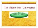 The Mighty One -Chloroplast - slide 1