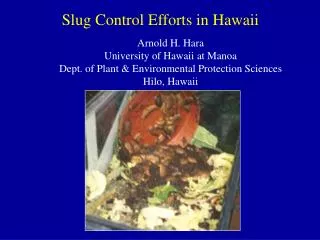 Slug Control Efforts in Hawaii