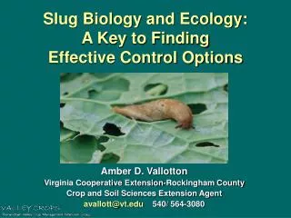 Slug Biology and Ecology: A Key to Finding Effective Control Options