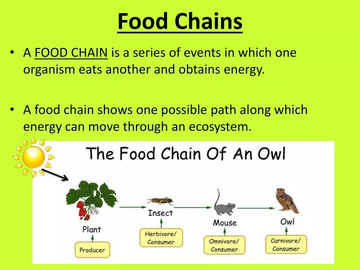 chain of events