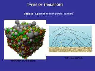 TYPES OF TRANSPORT