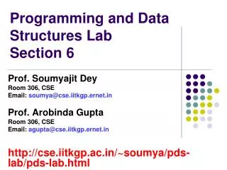 Programming and Data Structures Lab Section 6