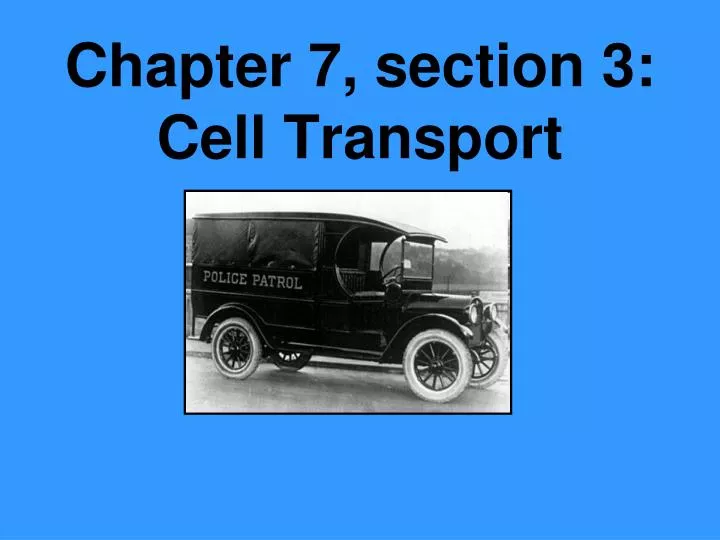 chapter 7 section 3 cell transport