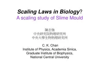 Scaling Laws in Biology ? A scaling study of Slime Mould