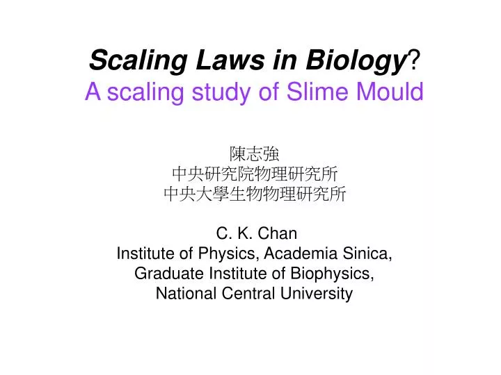 scaling laws in biology a scaling study of slime mould