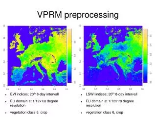 VPRM preprocessing
