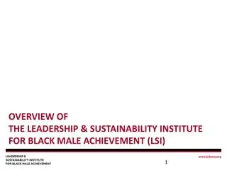 Overview of The Leadership &amp; Sustainability Institute for Black Male Achievement (LSI)