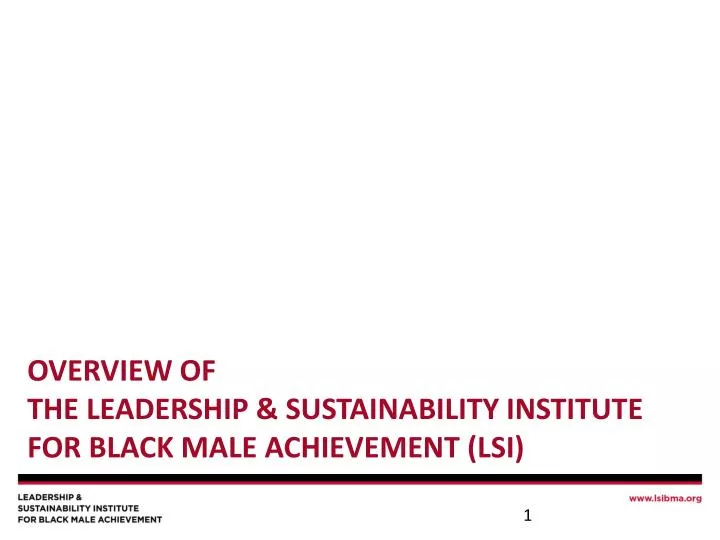 overview of the leadership sustainability institute for black male achievement lsi