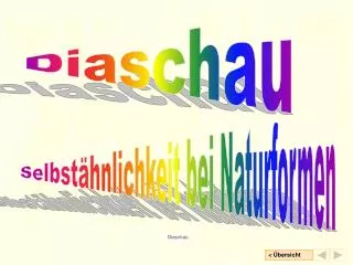 diaschau