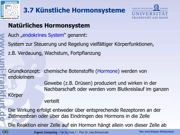 3 7 k nstliche hormonsysteme