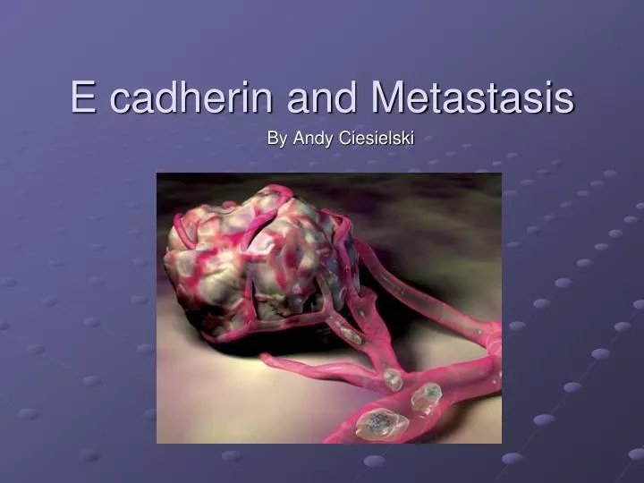 e cadherin and metastasis