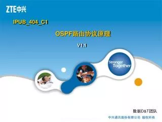 OSPF 路由协议原理