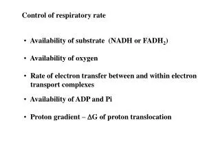 Control of respiratory rate