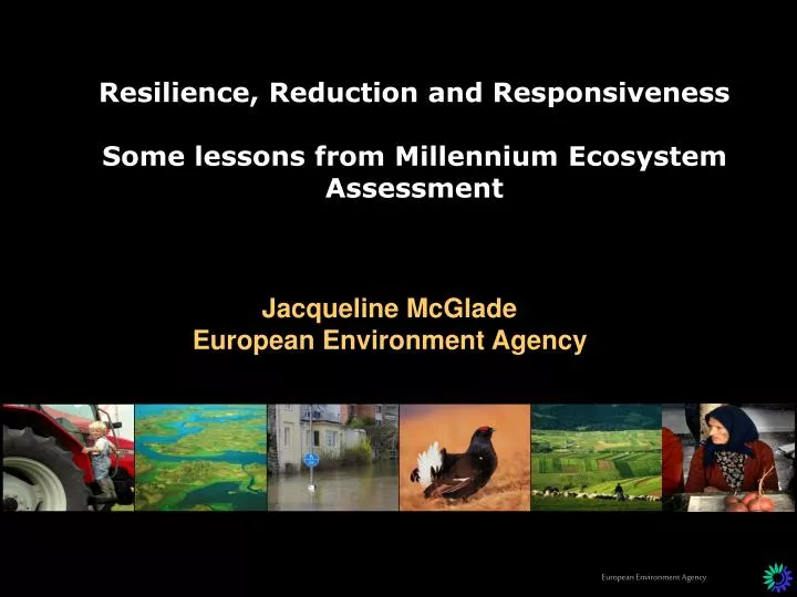resilience reduction and responsiveness some lessons from millennium ecosystem assessment