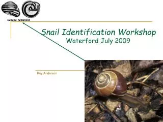 Snail Identification Workshop Waterford July 2009