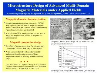 Magnetic domain characterization