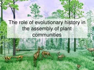 The role of evolutionary history in the assembly of plant communities