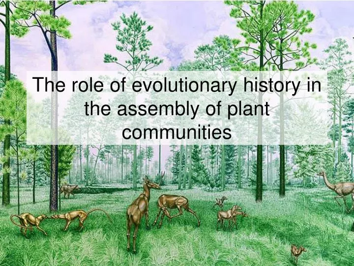 the role of evolutionary history in the assembly of plant communities