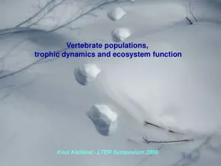 Vertebrate populations, trophic dynamics and ecosystem function
